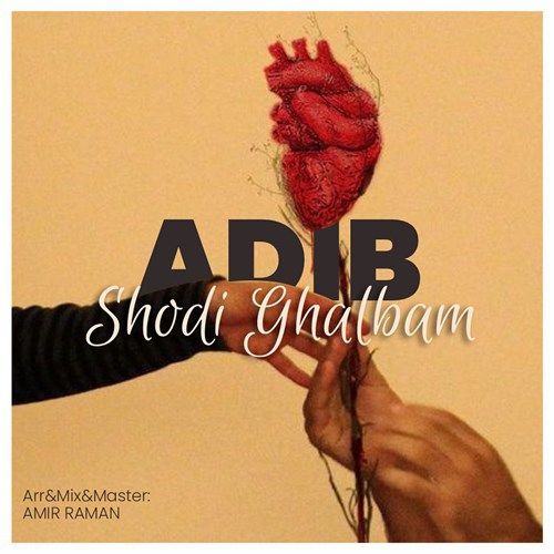 تک ترانه - دانلود آهنگ جديد Adib-Shodi Ghalbam دانلود آهنگ ادیب به نام شدی قلبم  